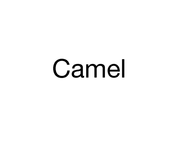 Camel Filter Yellow 20pk