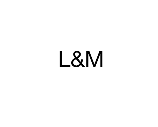 L&M Blue 40pk