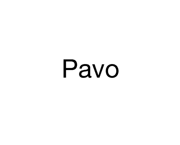 Pavo Sweet Mint