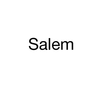 Salem Menthol Classic 20pk